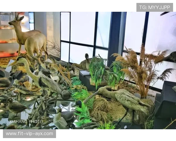 世界杯城市氛围营销案例被广泛借鉴 世界杯城市氛围营销案例被广泛借鉴